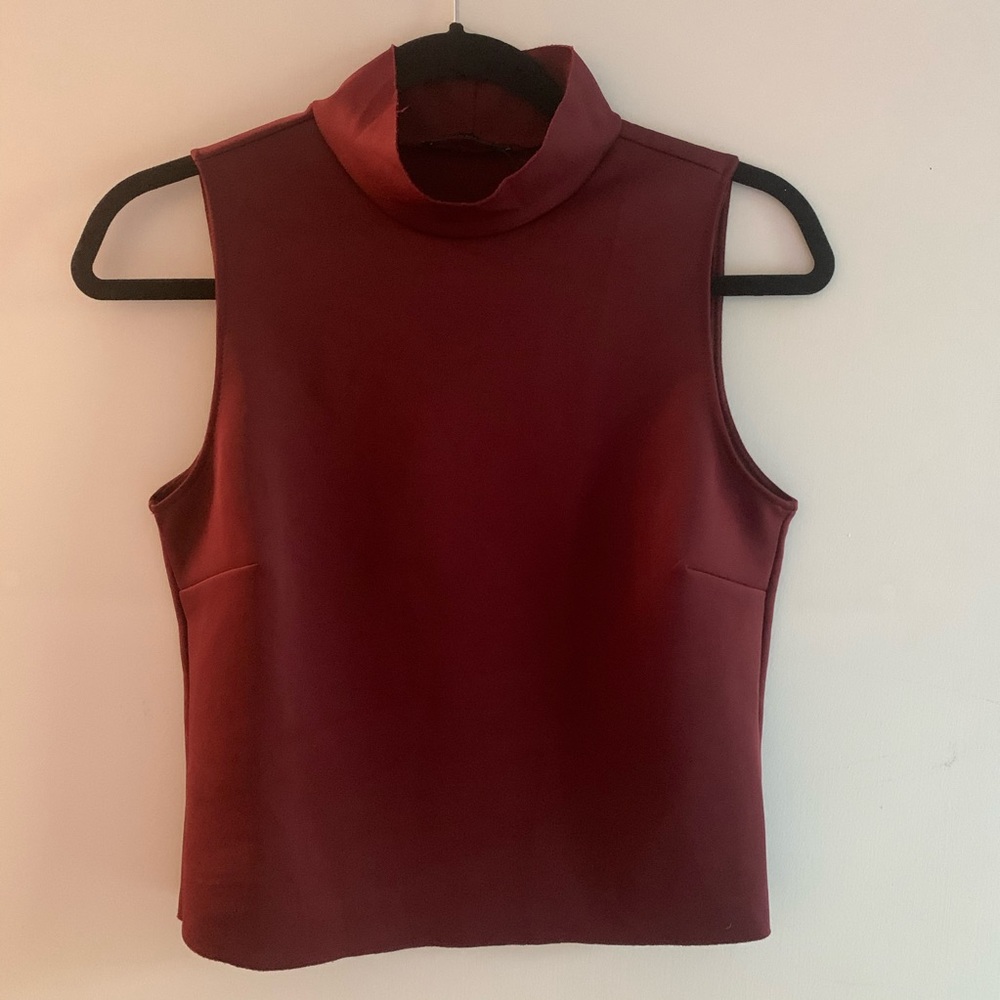 Zara raw edge mock neck crop top